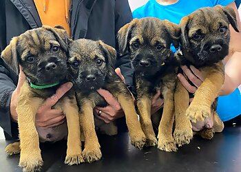 Sheriffs Highway Vets