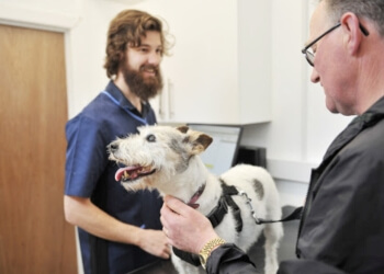 Sheriffs Highway Vets