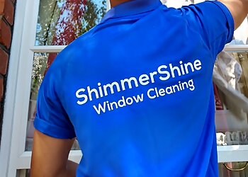 Shimmer Shine Windows