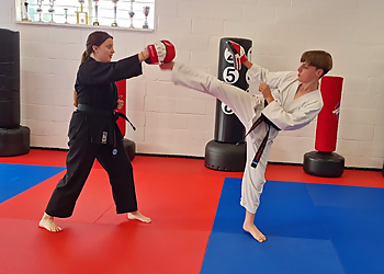 Worcester Park martial arts Shin Gi Tai Martial Arts Academy Kingston image 1