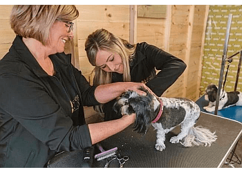 Short Bark & Sides Dog Grooming With Daycare