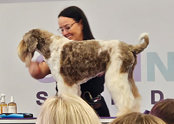 Short Bark and Sides Dog & Cat Grooming