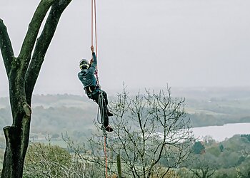Silver Oak Tree Surgery & Dry Stone Walling