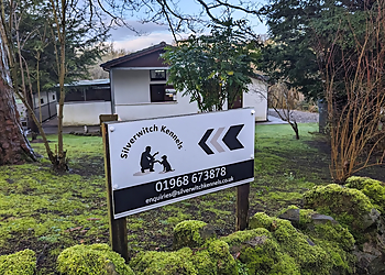 Silverwitch Kennels