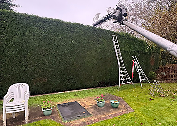 Simons Garden Maintenance