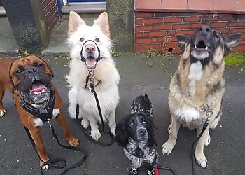 Simply Animals Dog Training and Sports Club