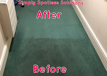 Simply Spotless Solutions