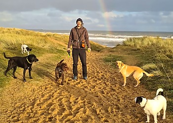 Sit Play Stay Sit Play Stay