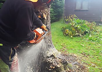 Sitka Tree Services