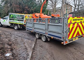 Sky High Tree Services