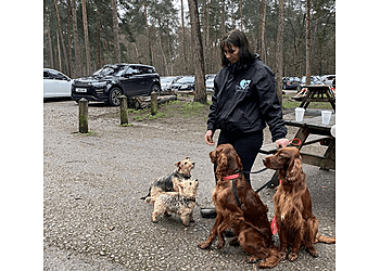 Small Paw Adventures