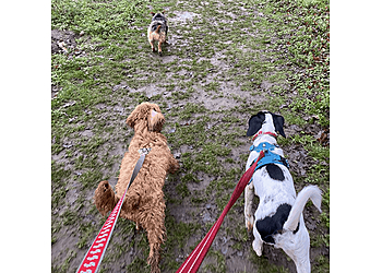 Small Paw Adventures