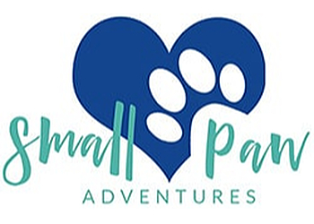 Small Paw Adventures