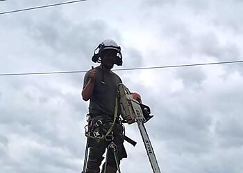 Small to Tall Gardens