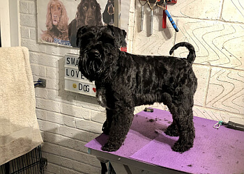 SmartDogs Dog Grooming Services