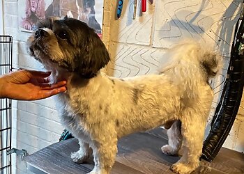 SmartDogs Dog Grooming Services