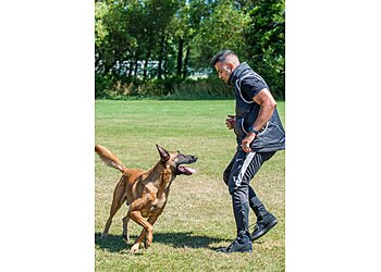 Smart Dogs Training