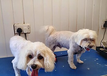 Smart Paws Professional Dog Grooming