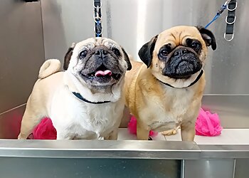 Smart-Paws Dog Grooming Ltd