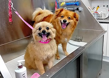 Smart-Paws Dog Grooming Ltd