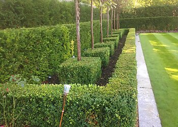 Smiths Garden Maintenance Services