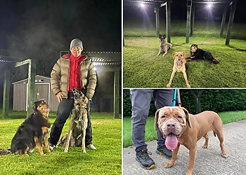 Snack Leader Dog Training