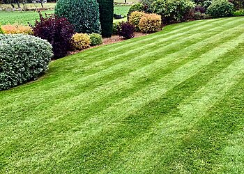 Snapdragon Gardening Services