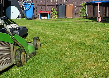 Snapdragon Gardening Services