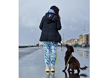 Snobby Doggy Training