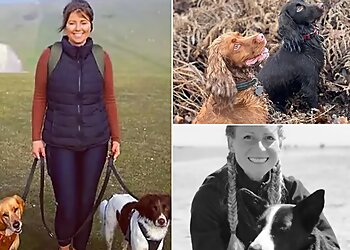 Snobby Doggy Training