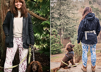 Snobby Doggy Training