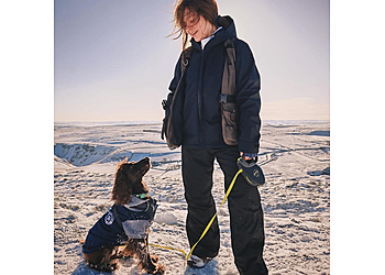 Snobby Doggy Training 