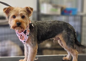 Snoopdogs Grooming Salon