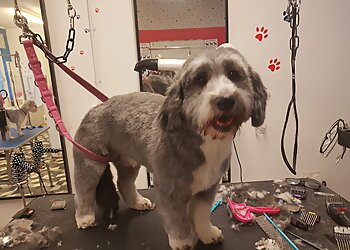 Snoopdogs Grooming Salon