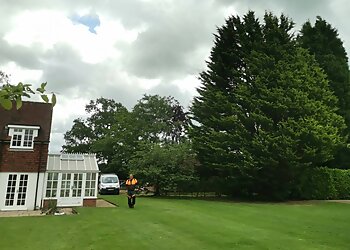 Snow White Professionals