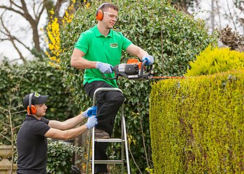 Snow White Professionals