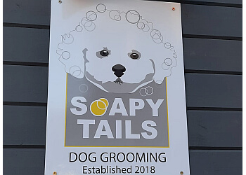 Soapy Tails 