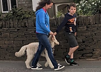 Social Behaviour Dog Training