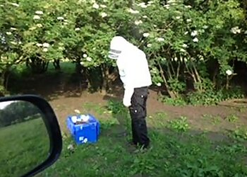 Solutions Pest Control