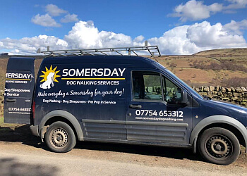 Somersday Dog Walking Services
