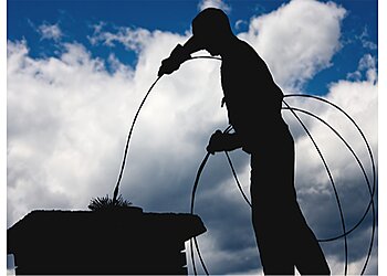 Sooty and Sweep Chimney Sweeping Service