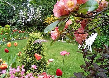 South Devon Garden & Landscape Services