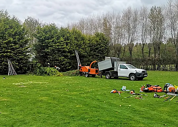 South East Tree Works