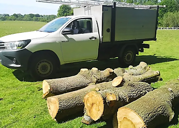 South East Tree Works