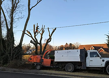 South East Tree Works