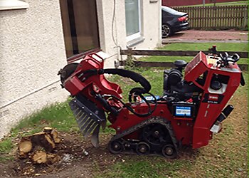 South Lanarkshire Treecare