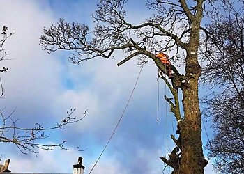 South Lanarkshire Treecare