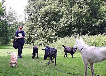 The South Shields Dog Trainer