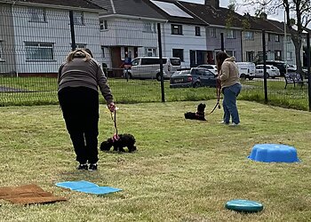 South Wales Dog Training Academy