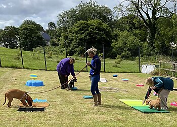 South Wales Dog Training Academy
